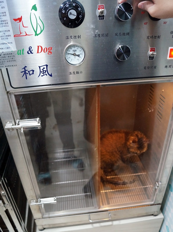 貓咪烘乾機