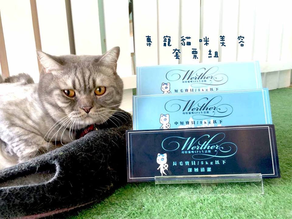 台中貓旅館推出無限期美容套票